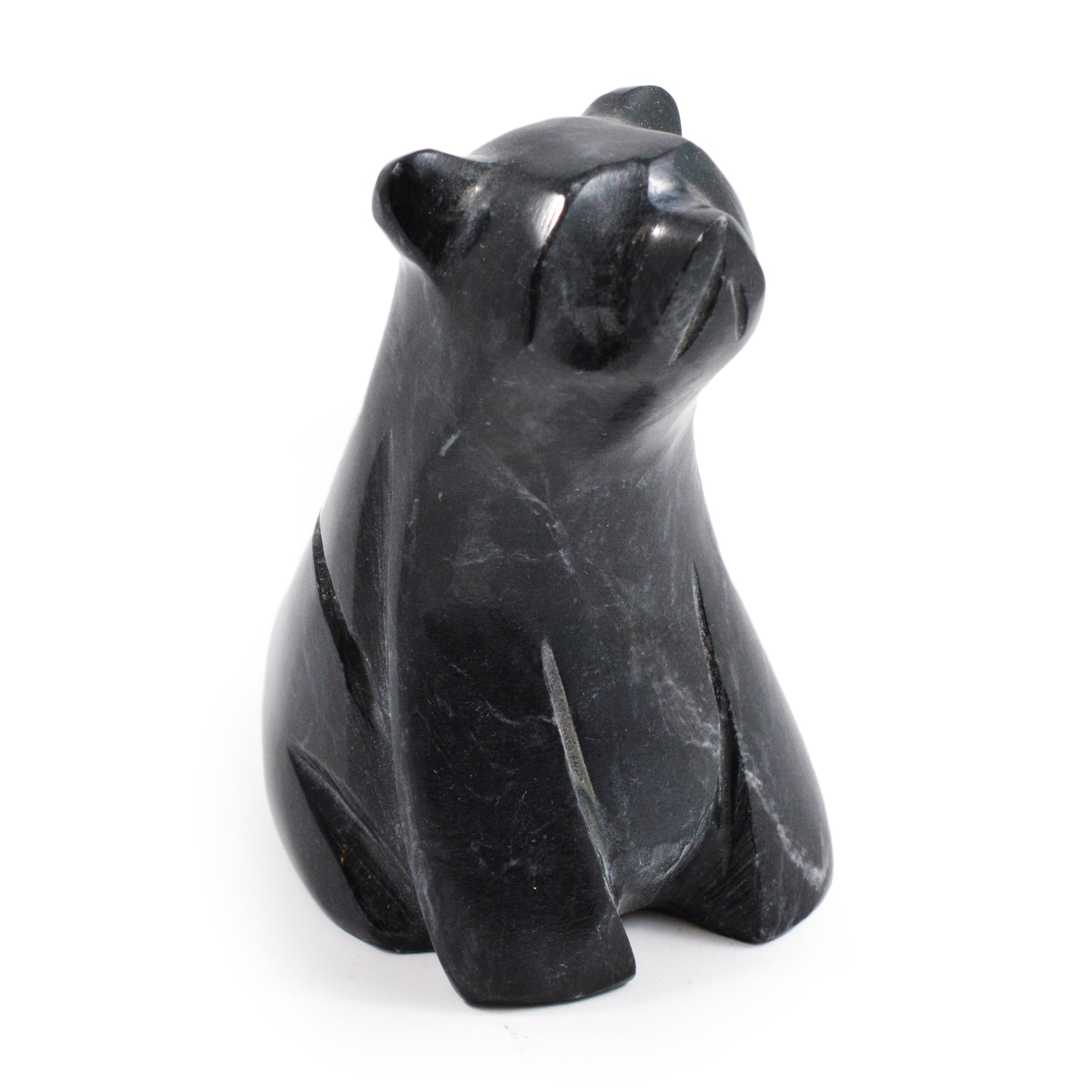 Black Marble Polar Bears